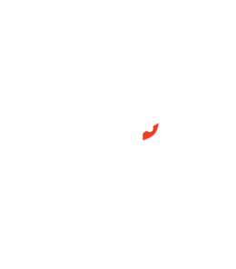 G2 Esports