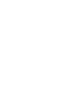 Team Spirit